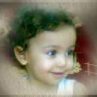 الوايلي