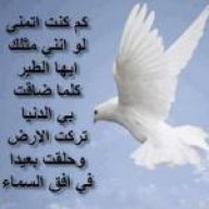 ريما