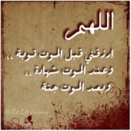 حمزه الزوايده