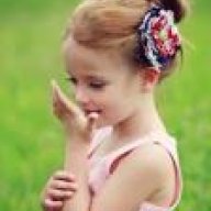 فراشة الهدوء
