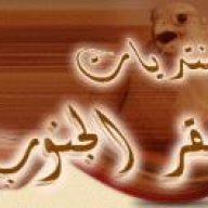 مدير الموقع
