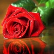 راشد العظامات