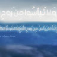 إبراهيم السيد